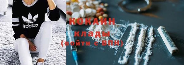кокс Богородицк
