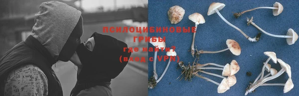 кокс Богородицк