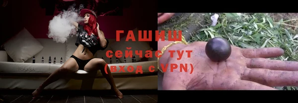 стаф Богданович