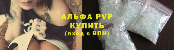 стаф Богданович