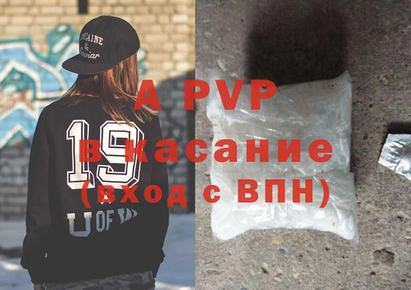 стаф Богданович