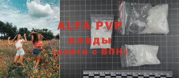 стаф Богданович