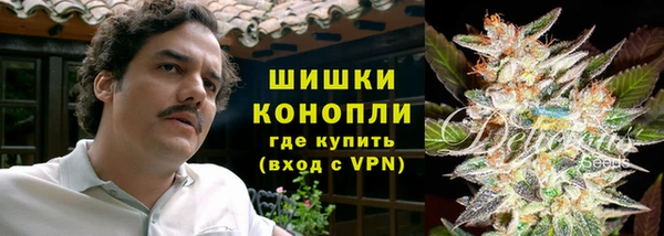 стаф Богданович
