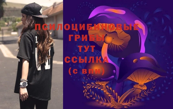 стаф Богданович
