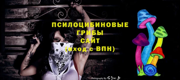 кокс Богородицк
